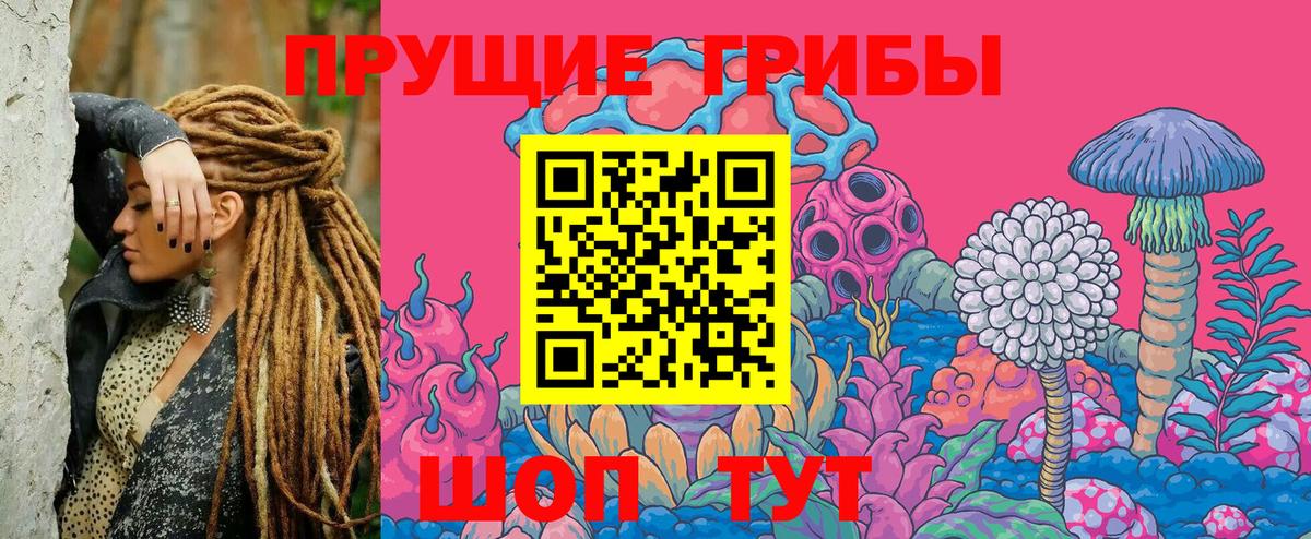 что такое   Псилоцибиновые грибы Cubensis  Вход с VPN  Киров 